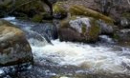 Pas de centrale ni barrage le long du 