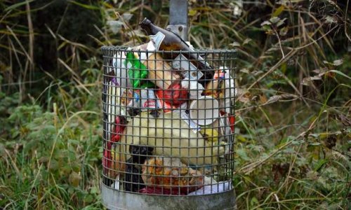 Pétition contre la collecte des ordures ménagères à 6h du matin