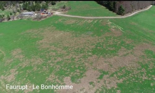 Les paysans de la montagne vosgienne refusent de continuer à élever le gibier !
