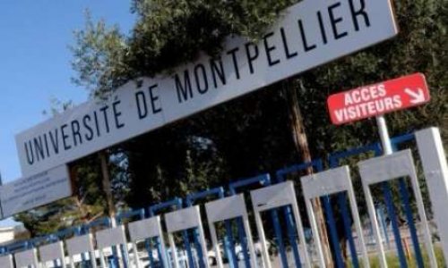 Pour le maintien des droits et libertés d’accès aux cours et examens des étudiants en sciences