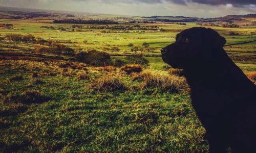 Pour la défense de notre patrimoine, la chasse et la sauvegarde de l’équilibre de notre écosystème !