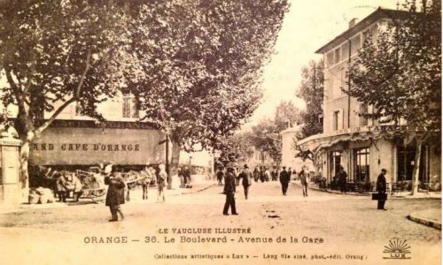 Halte au massacre à la tronçonneuse ! nos arbres sont vivants on les aime, les cités bétons c'est périmé ! faisons appliquer la LOI DU 8 AOUT 2016 qui les protège !
