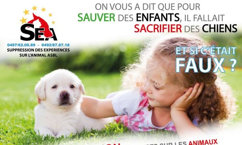 Nous vous demandons la garantie que tout don à la campagne Télévie 2019 ne servira pas en réalité à des recherches sur des « modèles » animaux, inutiles et sans lendemain, très dangereuses pour notre santé, le plus souvent.