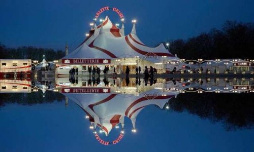 Soutenez le Cirque Arlette Gruss,  qui fait preuve d'un respect et d'une éthique irréprochable pour le bien-être de ses animaux