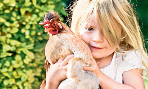 Honorons la nature en boycottant la viande