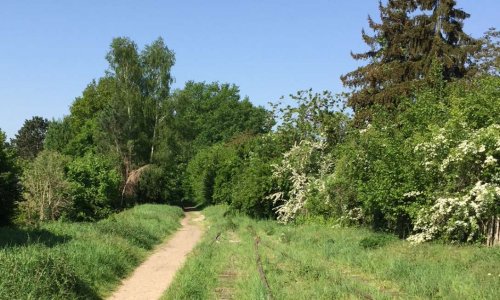 Contre la défiguration de l'ancienne Voie Ferrée entre Saint-Rémy lès Chevreuse et Boullay les Troux