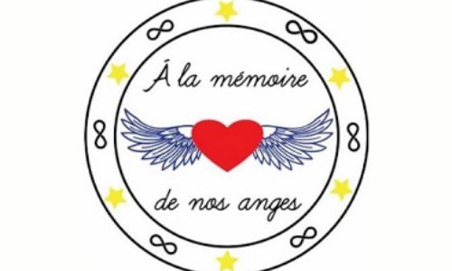 Non à la réouverture de la ligne TER PERPIGNAN-VILLEFRANCHE