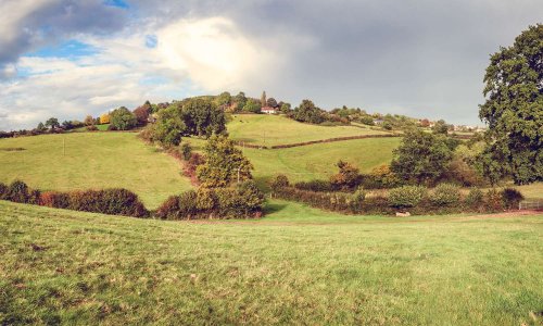 Obligation de planter des haies sur le bord des routes nationales et départementales