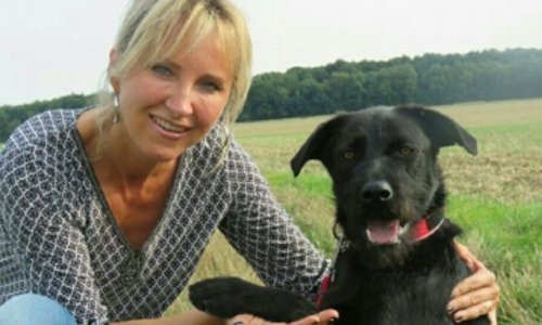 Non au licenciement de Céline Ravenet du refuge d’Hermeray !