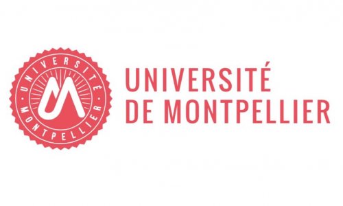 Accès au RA des doctorants