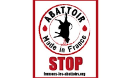 Pas de cameras, pas de votes