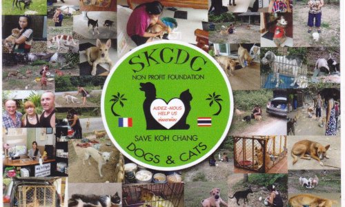 Vous qui aimez les animaux.... AIDEZ-NOUS