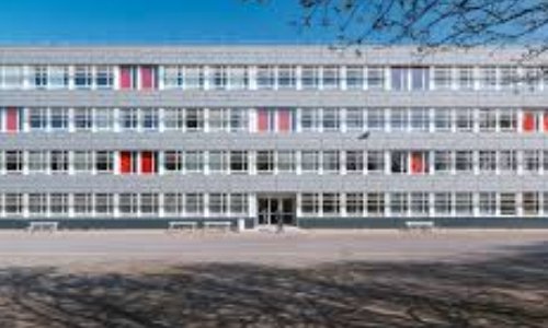 Bal de fin d’année scolaire 2018/2019