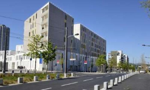 Pétition contre les rodéos et le bruit