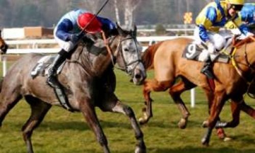 l'intelligence artificielle pour la gestion des courses hippiques !!!