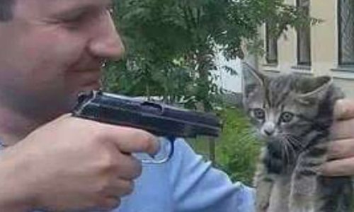 Pétition pour attrapez ce psychopathe notiziario caetano