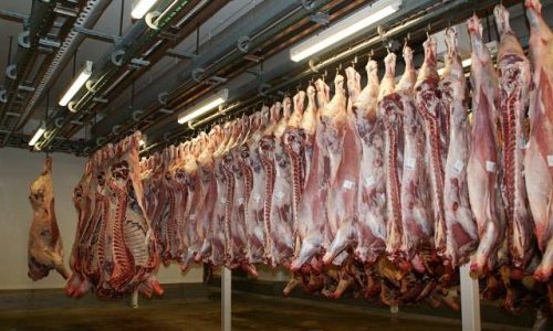 BOYCOTT CONSOMMATION DE VIANDE et D'OEUFS