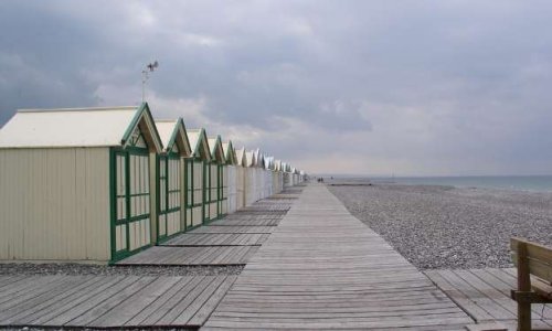 Contre le projet municipal d'interdire les chiens sur le chemin de planches et dans les cabines de Cayeux-sur-Mer