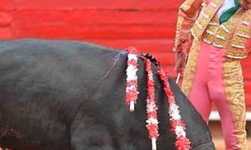 Interdiction pour la corrida