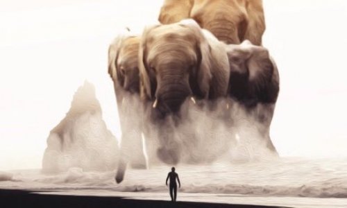 Besoin d'aide pour nos animaux