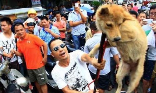 FESTIVAL YULIN ON SIGNE EN MASSE