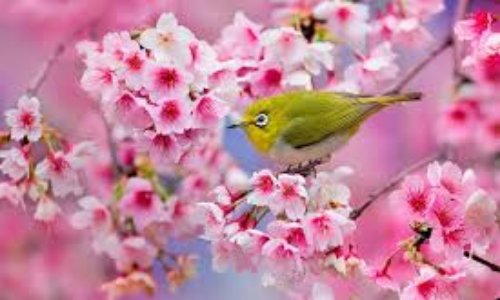 Mobilisons pour le droit de Inès à la vie