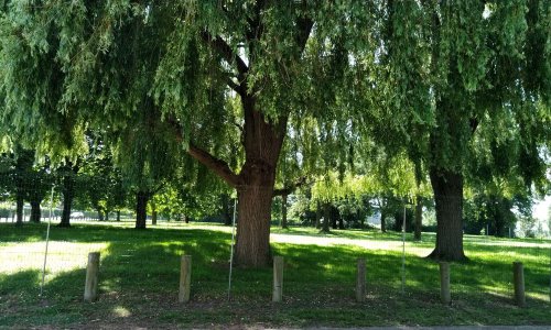 NON A LA DESTRUCTION DU PARC avenue de l'énergie à Comines