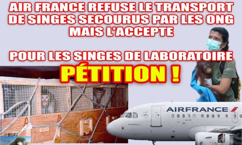 Demandons à AIR FRANCE de privilégier le transport des singes secourus par les ONG et de cesser celui des singes destinés aux laboratoires d’expérimentation animale !