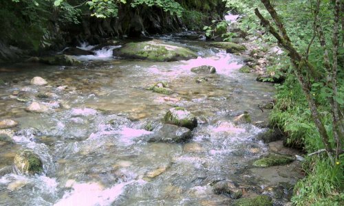 Non au court-circuitage du Touyre - Contre un projet inutile à 13 millions d'euros