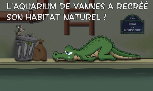Eléonore, un crocodile condamné aux égouts