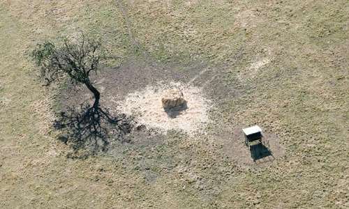 Signez pour exiger des solutions concrètes et ambitieuses face aux dérèglements climatiques