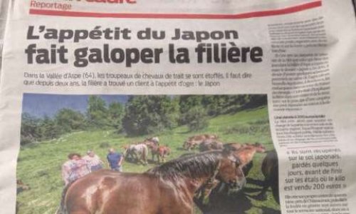 Contre la commercialisation de la viande de cheval