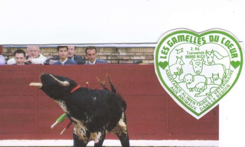 ALERTE ! Torture illégale de veaux, taurillons à Tarascon (Bouches-du-Rhone) ce samedi 7 juillet 2018 à 17h - Mobilisons nous pour leur interdiction !!!