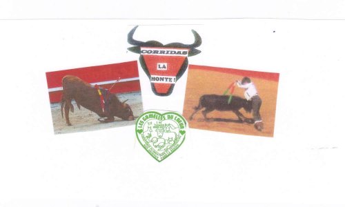 TARASCON-LA HONTE : Ce n'est pas LA JUSTICE, mais L'A-JUSTICE qui a été rendue  !