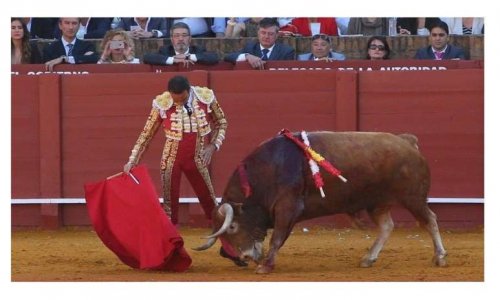 NON à l'apologie de la tauromachie sur France 3 Aquitaine et France 3 Occitanie, France Télévision