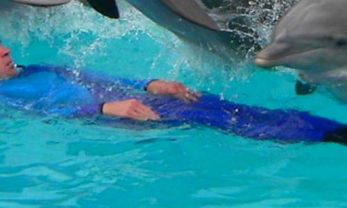 Pétition pour défendre les delphinariums