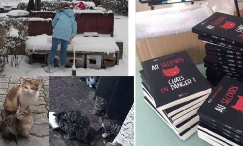 J’ai été escroquée par un éditeur qui n’a jamais payé à mon association de protection animale, les livres qu’il a vendus