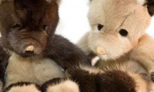 STOP aux peluches en fourrure animale