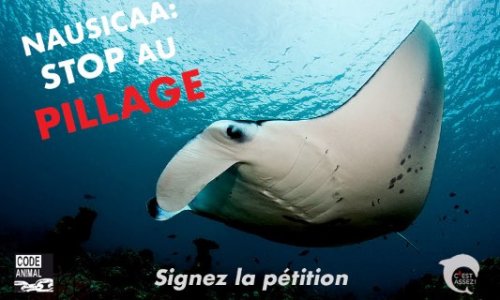 Stop au pillage des mers et des océans !