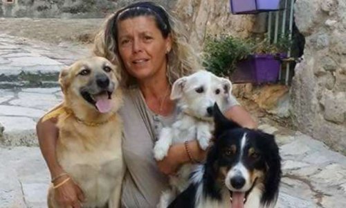 Interdire l'utilisation d'animaux dans l'émission 