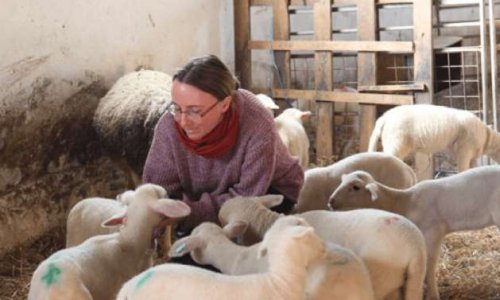 Pour la sauvegarde des soins traditionnels dans les élevages !