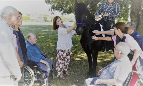 Pour une généralisation de la médiation animale dans les EHPAD