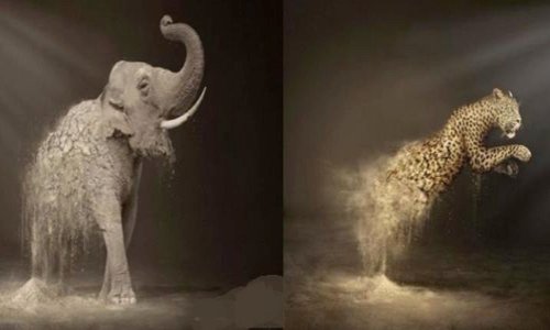 Pour des cirques sans animaux sur la commune de Guérande