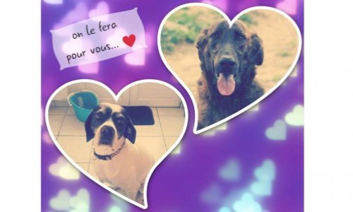 Justice pour Bahia, Tohow et les autres disparus de la 