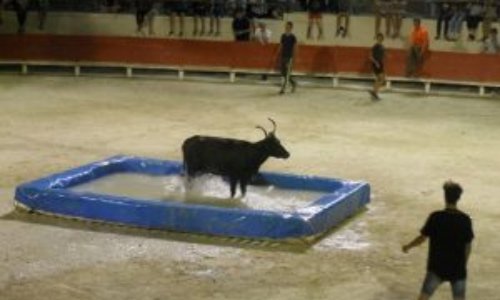 Annuler le jeu Toro Piscine à Sillingy