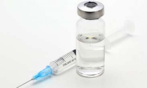 Survaccination des chiens et chats: dangers! / Cats and dogs over-vaccination: danger!