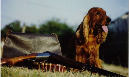 Soutenir une chasse écologique qui participe aux défis environnementaux