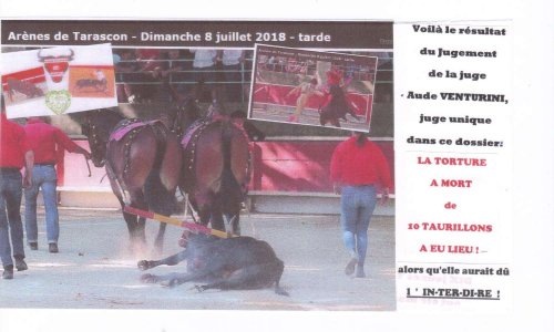 TARASCON-LA HONTE - NOUS VOULONS DES REPONSES ! Que sont devenues les dépouilles des DIX TAURILLONS TORTURES A MORT lors des NOVILLADAS du 8 juillet 2018 et que sont devenus les DEUX VEAUX TORTURES sans mise à mort lors de la BECERRADA du 7 juillet ?