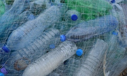 Stopper la consommation de bouteilles en plastique