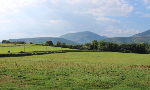Protégeons le plateau de Marienia ! Marieniako eremua babes dezagun !